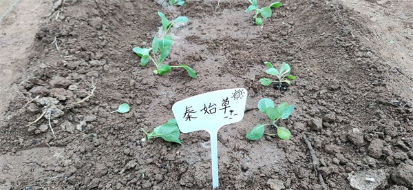 QQ图片20250926204925(4).jpg
