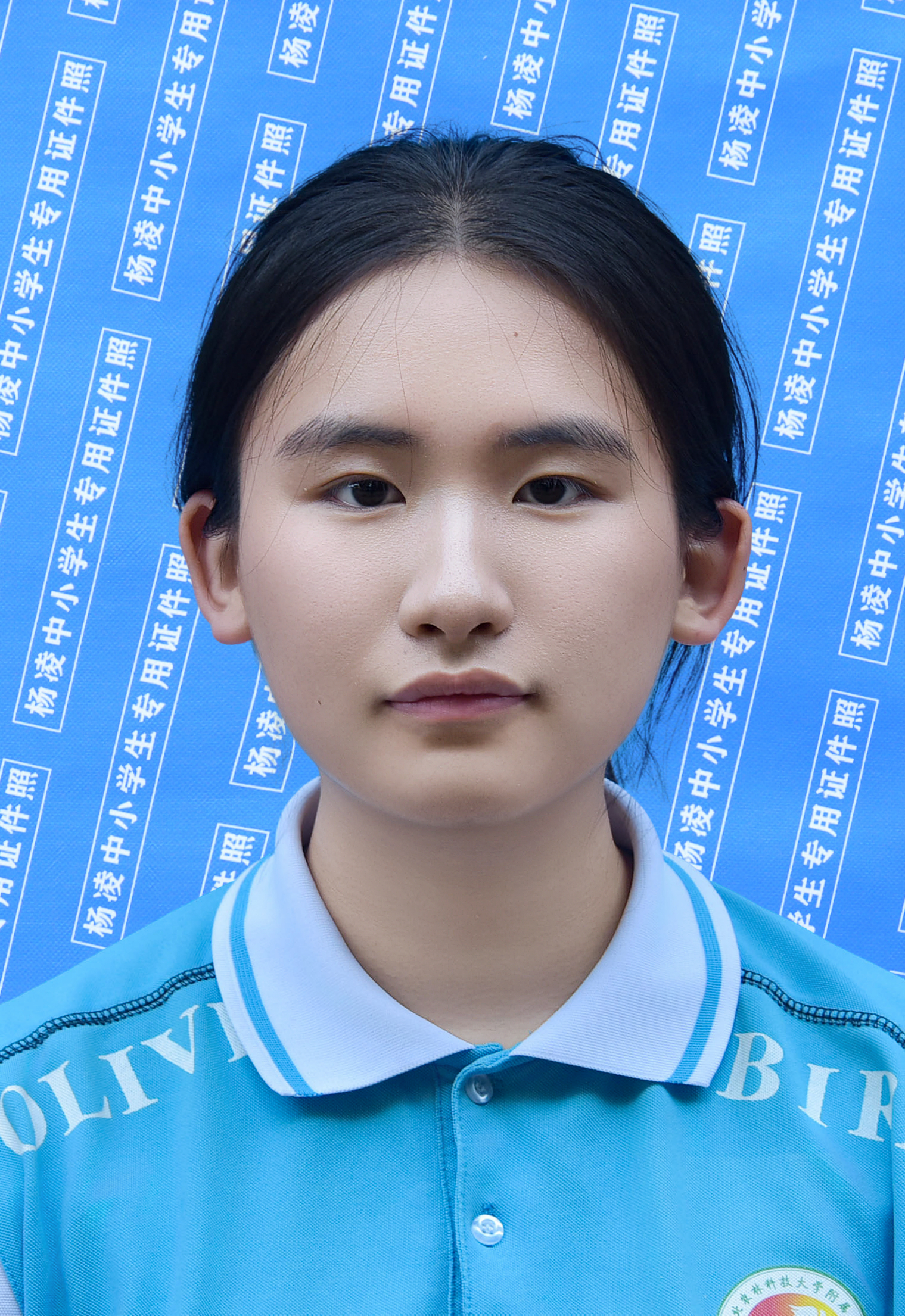 6折禹境.jpg